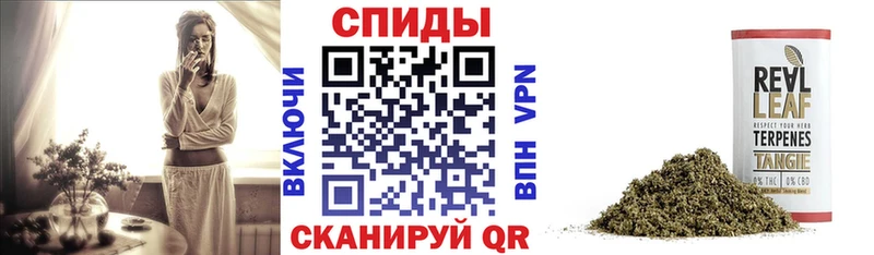 Бутират BDO 33%  магазин продажи наркотиков  Белая Холуница 