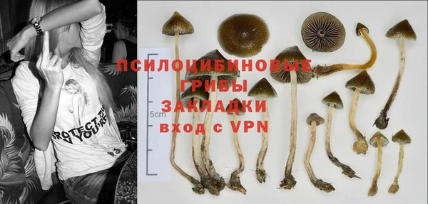 гашиш Новокубанск