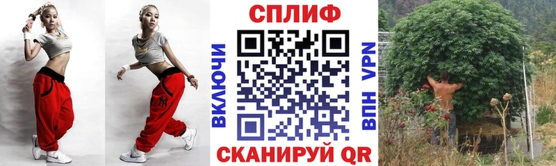 Каннабис Ganja гидра онион Белая Холуница